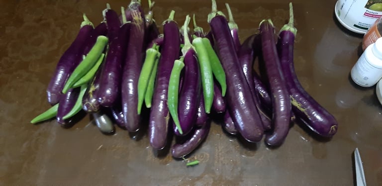 Nagkakaisang Magkapitbahay sa Phase 3 Block 3 - Payatas