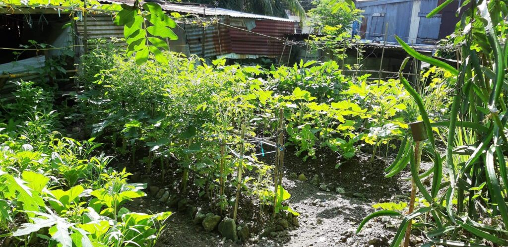 Nagkakaisang Magkapitbahay sa Phase 3 Block 3 - Payatas